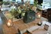 Eten&Drinken: Brasserie Springer - Schoonhoven