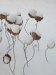 Geweest: Expositie Keramiek Carmika