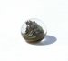 Glass Top Small implosion