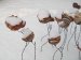 Geweest: Expositie Keramiek Carmika