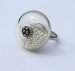 Parel ring my way