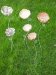 Geweest: Expositie Keramiek Carmika