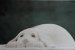 Past: Exposition Ceramic Art Nel Krijger
