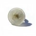 Glas Top XLarge Poot afdruk op maat