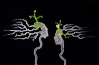 Past: Expositie Glass sculptures and more Jacky Geurts