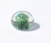 Glass Top Small implosion
