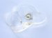 Clear figurative (flower)